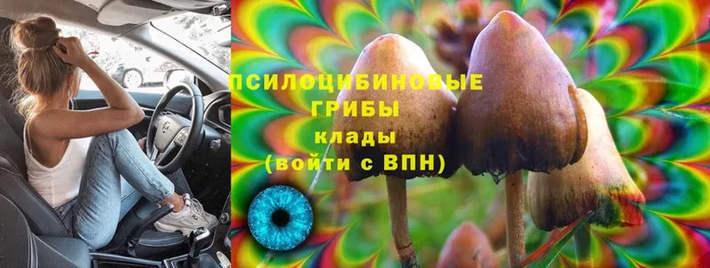 Галлюциногенные грибы Magic Shrooms  МЕГА как зайти  Баксан  цена  